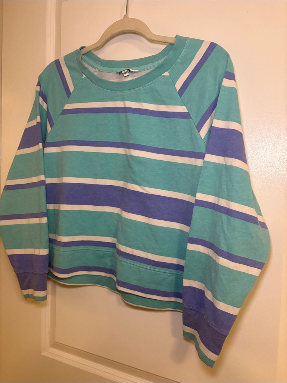 Wildfox Striped Long-Sleeve Tee in Teal, Purple & White